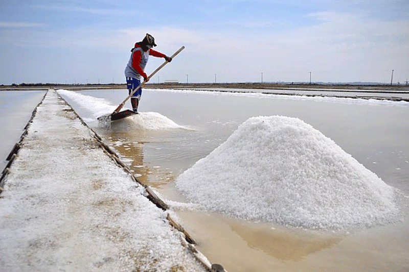 நாட்டில் உப்பு தட்டுப்பாடு இல்லை – உற்பத்தி தடை மாத்திரமே!