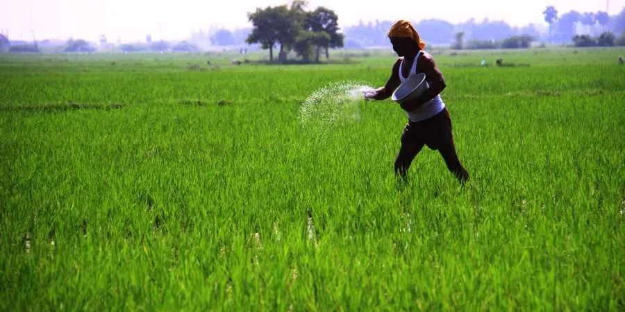 சிறுபோகத்தில் ஏற்பட்ட சேதங்களுக்கான இழப்பீடுகள் ஜனவரியில் வழங்கப்படும்