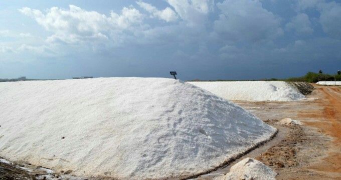 உப்பு இறக்குமதி செய்வதற்கான விலை மனுக்களை நாளை முதல் கோர அரசாங்கம் தீர்மானம்