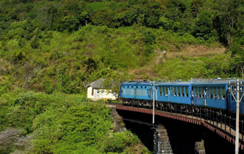 படமெடுக்க ரயிலிலிருந்து எட்டிப்பார்த்த சீன பெண் –  கீழே விழுந்ததால் கவலைக்கிடம்