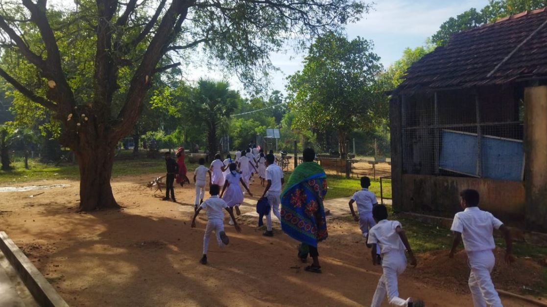 முல்லைத்தீவில் பாடசாலை மாணவர்களை துரத்தி துரத்தி கொட்டி தேனீர்குளவி முல்லைத்தீவில் பாடசாலை மாணவர்களை துரத்தி துரத்தி கொட்டி தேனீர்குளவி