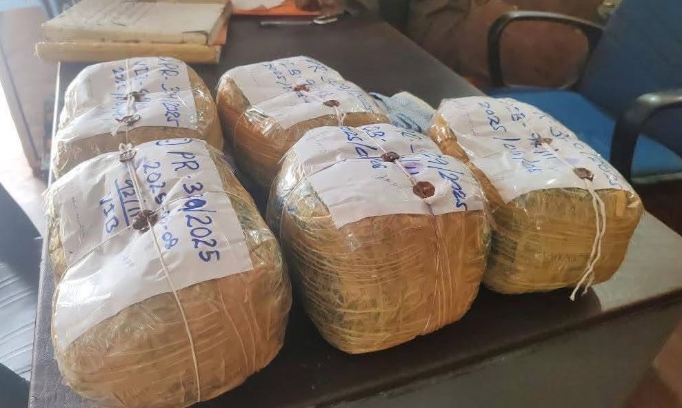 வவுனியாவிலுள்ள வீட்டுக்குள் மறைக்கப்பட்ட நிலையில் 10 கிலோ கஞ்சா மீட்பு; சந்தேகநபரும் கைது வவுனியாவிலுள்ள வீட்டுக்குள் மறைக்கப்பட்ட நிலையில் 10 கிலோ கஞ்சா மீட்பு; சந்தேகநபரும் கைது