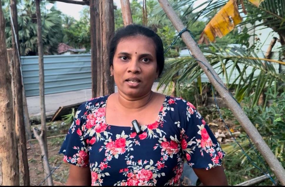 முள்ளியவளையில் பௌத்த விகாரை வடிவில் பதாதைகள்: தன்னிலை விளக்கமளித்த பெண் முள்ளியவளையில் பௌத்த விகாரை வடிவில் பதாதைகள்: தன்னிலை விளக்கமளித்த பெண்