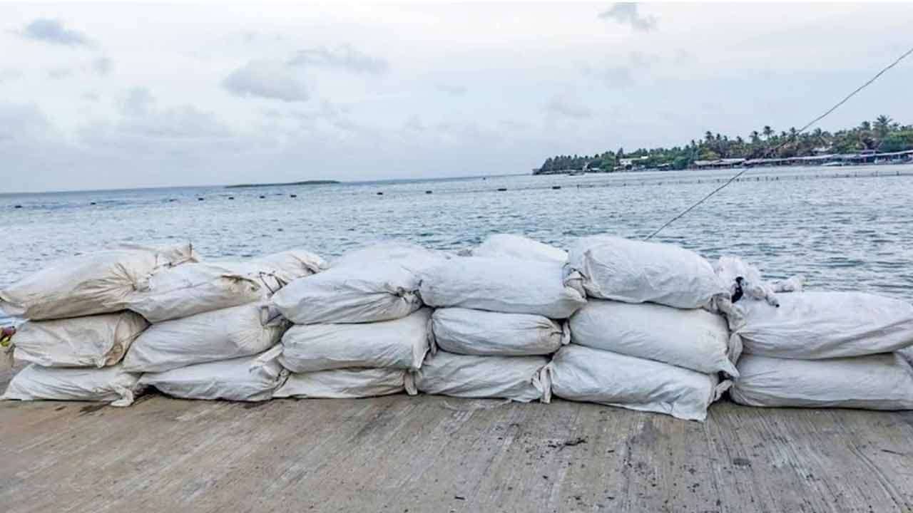 சட்டவிரோதமாகக் கொண்டு வரப்பட்ட உலர்ந்த இஞ்சி மீட்பு சட்டவிரோதமாகக் கொண்டு வரப்பட்ட உலர்ந்த இஞ்சி மீட்பு
