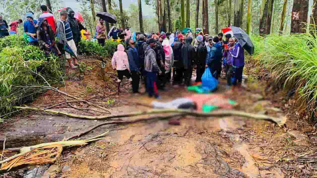 மஸ்கெலியாவில் விறகு சேகரிக்க சென்றவர் மீது மரக்கிளை முறிந்து வீழ்ந்ததில் சம்பவ இடத்திலேயே பலி