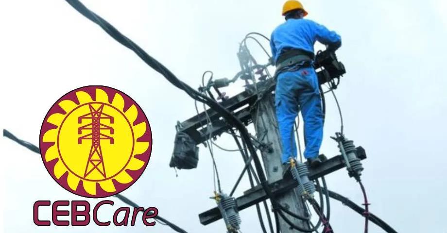 இலங்கை மின்சார சபையில் பணியாற்றிய 20 வீதமானோர் வெளிநாடுகளுக்கு குடிபெயர்வு