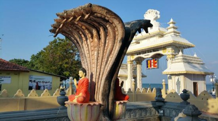 யாழ். நாகவிகாரையில் பிக்கு ஒருவர் சடலமாக மீட்பு யாழ். நாகவிகாரையில் பிக்கு ஒருவர் சடலமாக மீட்பு