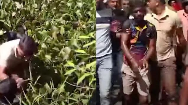 கை விலங்குடன் முதலைகள் நிறைந்த நீர்நிலையில் குதித்த நபர் – போராடி மீட்ட பொலிஸார் கை விலங்குடன் முதலைகள் நிறைந்த நீர்நிலையில் குதித்த நபர் – போராடி மீட்ட பொலிஸார்