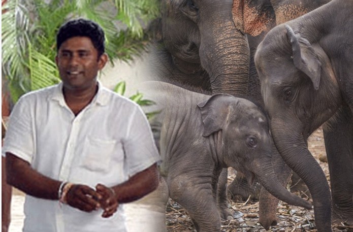 அலி ரொஷானுக்கு 15 வருட கடூழிய சிறைத்தண்டனை
