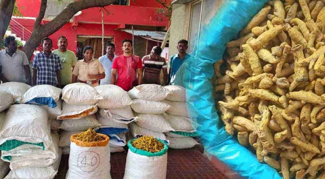 இலங்கைக்கு கடத்தவிருந்த பல இலட்சம் பெறுமதியான மஞ்சள் பறிமுதல் இலங்கைக்கு கடத்தவிருந்த பல இலட்சம் பெறுமதியான மஞ்சள் பறிமுதல்