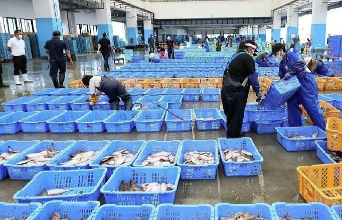 ஜப்பான் கடல் உணவுக்கு சீனாவில் தடை