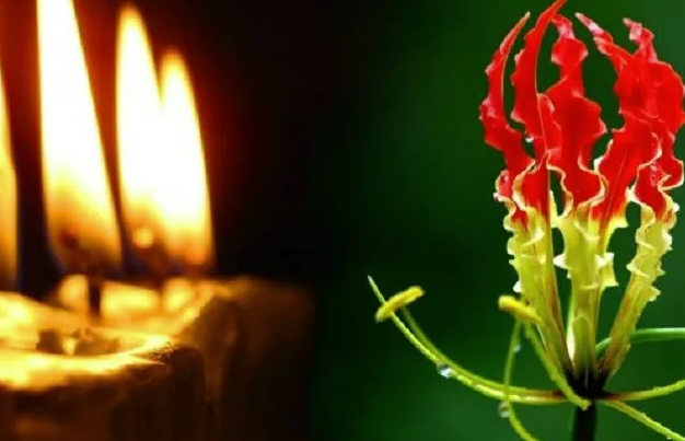 மாவீரர் வாரம் இன்று ஆரம்பம்