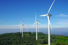 மன்னார் காற்றாலை மின் உற்பத்தி திட்டங்களை எதிர்வரும் காலங்களில் இடைநிறுத்த அமைச்சரவை அனுமதி மன்னார் காற்றாலை மின் உற்பத்தி திட்டங்களை எதிர்வரும் காலங்களில் இடைநிறுத்த அமைச்சரவை அனுமதி