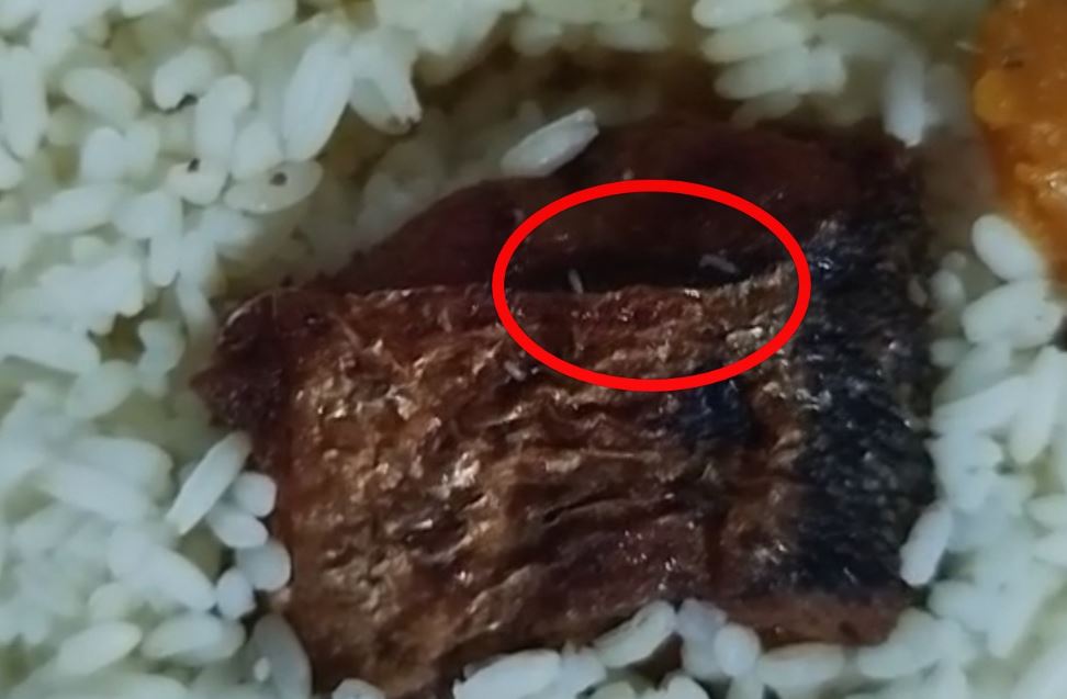 முல்லைத்தீவில் உணவு வாங்கியவருக்கு காத்திருந்த அதிர்ச்சி – மீன்பொரியலுக்குள் புழு