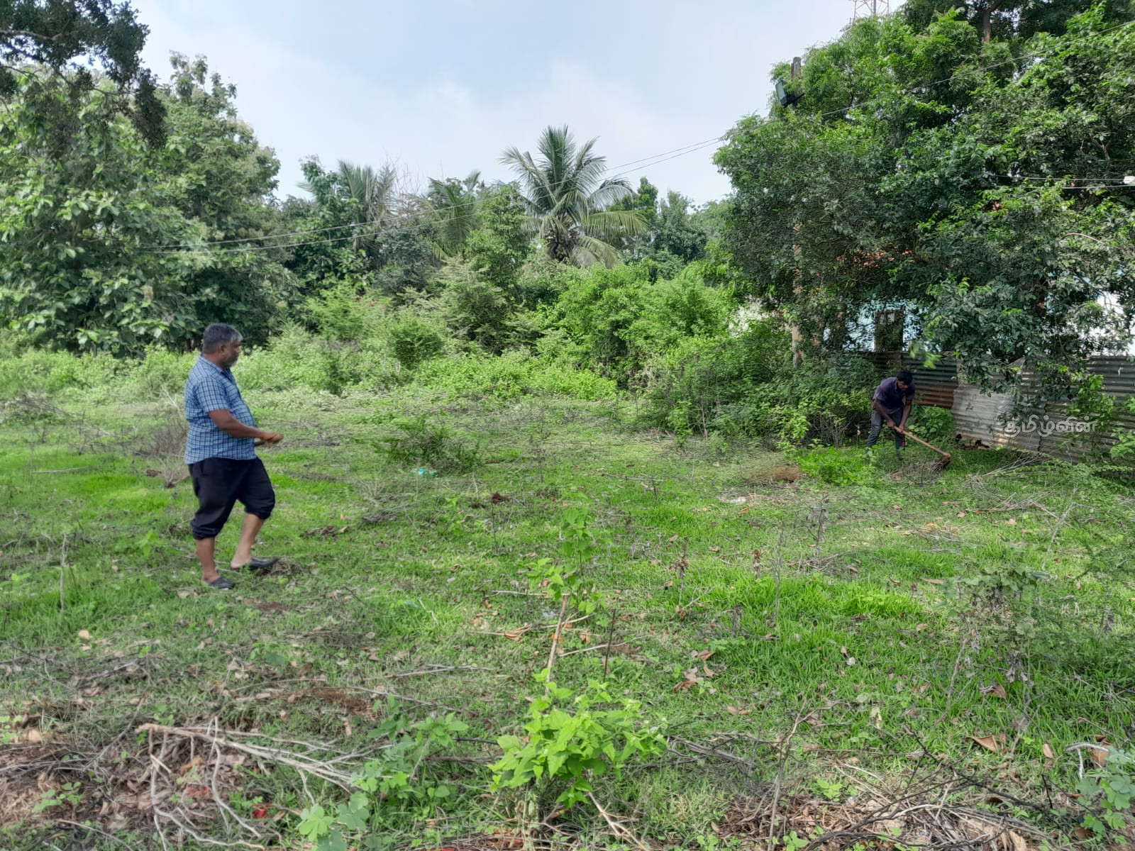 வடக்கு கிழக்கில் மாவீரர் துயிலும் இல்ல துப்பரவு பணிகள் ஆரம்பம்