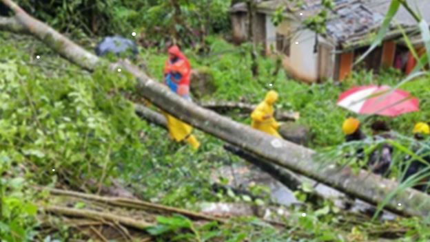 மினுவாங்கொடை பகுதியில் வீசிய பலத்த காற்று – 30 வீடுகள் சேதம் மினுவாங்கொடை பகுதியில் வீசிய பலத்த காற்று – 30 வீடுகள் சேதம்