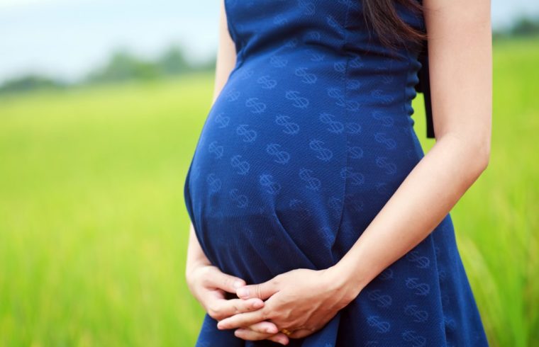 கர்ப்பிணிப் பெண்களுக்கான ஊட்டச்சத்து உதவித்தொகை கொடுப்பனவு இன்று கர்ப்பிணிப் பெண்களுக்கான ஊட்டச்சத்து உதவித்தொகை கொடுப்பனவு இன்று