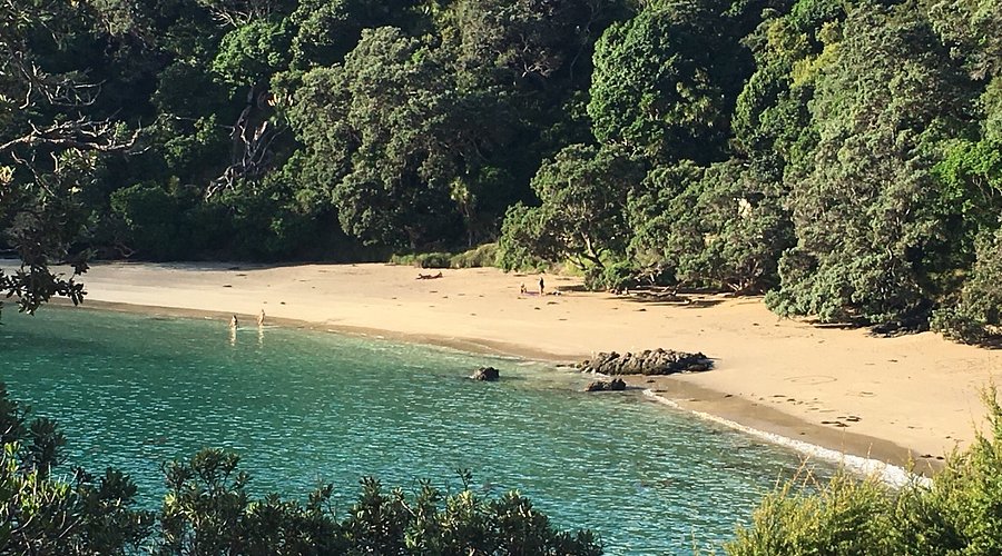 Sandy bay கடற்கரை குறித்து ஜனாதிபதி முக்கிய உத்தரவு