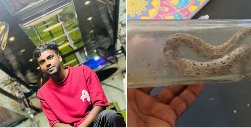 கிளிநொச்சியில் பாம்பு கடித்து இளைஞர் உயிரிழப்பு