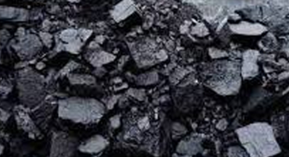 நிலக்கரி குறித்த பிரச்சினையை ஆராய குழு நியமனம்