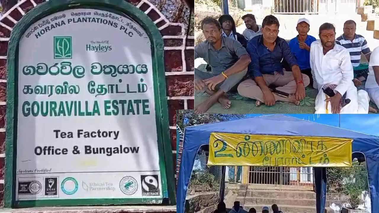 மஸ்கெலியா கவரவில தோட்டத் தொழிலாளர்களின் போராட்டம் வெற்றி