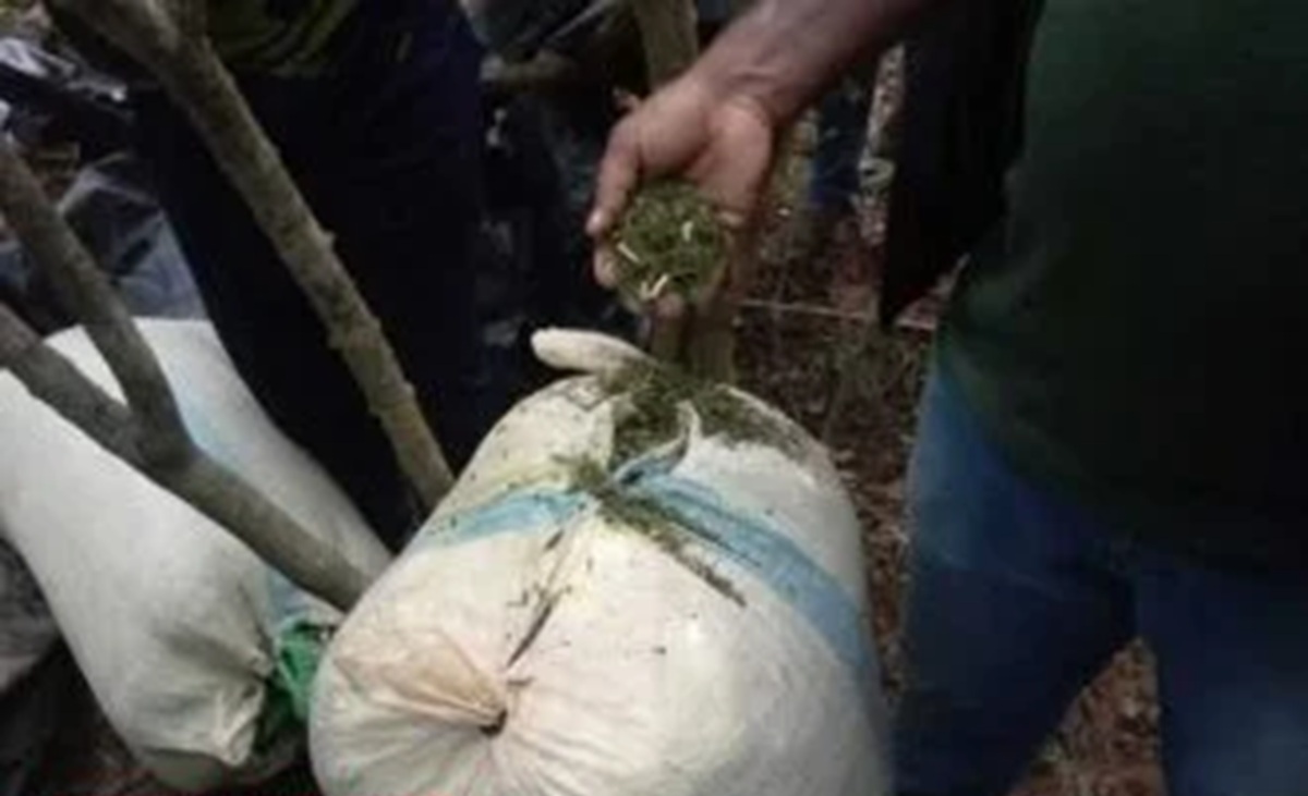 ஒன்றரை கோடி ரூபாவிற்கும் அதிக பெறுமதியான போதைப்பொருள் கண்டெடுப்பு