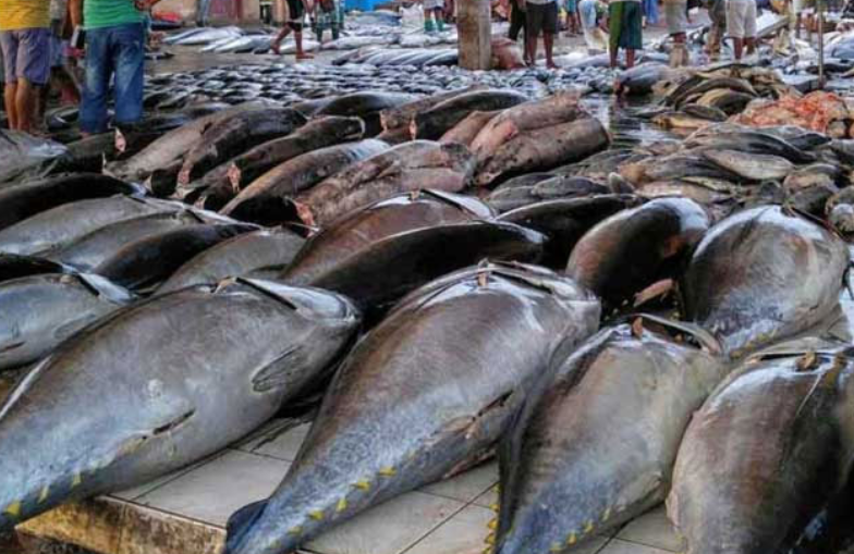 மீன் விலையில் வீழ்ச்சி